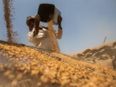 किसानों की आमदनी और बढ़ेगी, सरकार ने गेहूं व मसूर समेत रबी की 6 फसलों पर MSP बढ़ाया