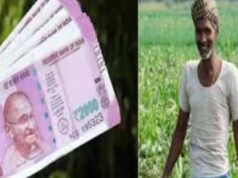 किसानों का इंतजार खत्म, पीएम मोदी 15 नवंबर को जारी करेंगे किसान सम्मान निधि की 15वीं किस्त