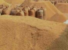 किसानों के हित में लिया बड़ा फैसला 4 फरवरी तक होगी समर्थन मूल्य और लिंकिंग पर धान खरीदी