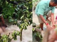वाटरफॉल में दर्दनाक हादसा: घूमने आए युवक की पैर फिसलने से मौत