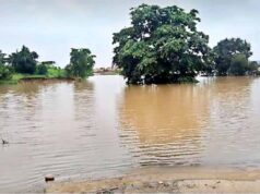 उफान पर गोदावरी: बीजापुर-हैदराबाद NH-163 पर यातायात ठप