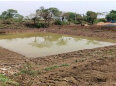 मनरेगा से निर्मित तालाब किसान के लिए बना सिंचाई व आजीविका का साधन…