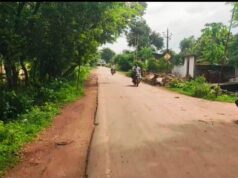 प्रधानमंत्री सड़क बनने से मिली राहत, ग्रामीणों और किसानों का आना-जाना हुआ आसान….