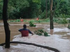 बस्तर-दंतेवाड़ा में बाढ़ का कहर: सीएम साय ने गृहमंत्री शाह को दी स्थिति की जानकारी