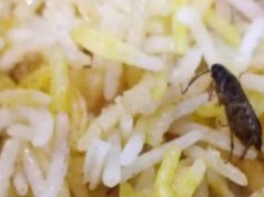 अम्बिकापुर : रेस्टोरेंट की बिरयानी में निकला कॉकरोच मामला, खाद्य एवं औषधि विभाग ने की कार्यवाही