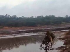 छत्तीसगढ़ में डैम फटा, 8 बह गए, 4 की मौत, गांवों में बाढ़ का कहर