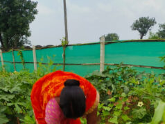 किचन गार्डन की अनोखी पहल : बेलडेगी स्कूल के बच्चे अपनी उगाई सब्जियां खा रहे हैं मिड-डे मील में….