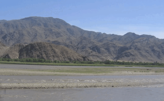 ccg-82.gif