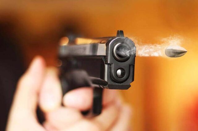 gun_42_1.jpg