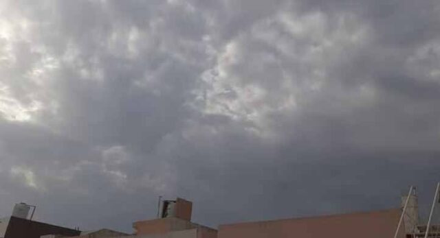 mosam-5.jpg