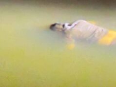 अरपा नदी में मिला हाईकोर्ट अधिवक्ता का शव, पुलिस जांच में जुटी