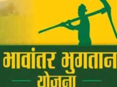 भावांतर योजना में आज 4036 रुपए प्रति क्विंटल का मॉडल रेट जारी