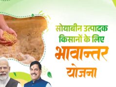 भावांतर योजना में आज का मॉडल रेट 4056 रुपए प्रति क्विंटल जारी