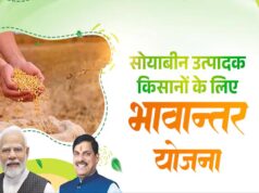 भावांतर योजना में आज बढ़कर 4130 रुपए मॉडल रेट जारी