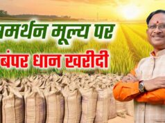 रायपुर : प्रदेश में 15 नवम्बर से समर्थन मूल्य पर धान खरीदी को लेकर तैयारियां पूरी