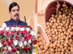 सोयाबीन किसानों के लिए राहत: मोहन सरकार देगी प्रति क्विंटल 1,300 रुपये का भावांतर