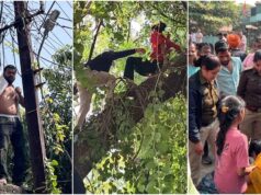 MP News: इंदौर में अवैध मकान हटाने पर युवक ने पकड़ा बिजली का तार, युवती पेड़ पर चढ़ी