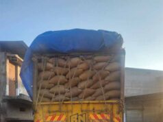 राज्य में अवैध परिवहन किए जा रहे 19 हजार 320 क्विंटल धान जब्त