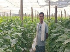 बंदूक की गूंज से फलों और फूलों की महक तक का सफर: बस्तर में साग-सब्जी, फलों की खेती से चमत्कारिक बदलाव….