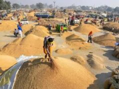 धान खरीदी का महाअभियान अनवरत रूप से जारी : अब तक 50.75 लाख मीट्रिक टन धान की खरीदी….