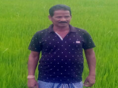 कम लागत में अधिक मुनाफा दिला रही प्राकृतिक खेती : जीवामृत, नीमास्त्र और हरी खाद से सशक्त होती मिट्टी….