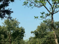 पीएम जनमन योजना से बदली ग्राम बांसकुड़ा कमार बस्ती की तस्वीर….