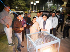 बुधवारी फुट ओव्हरब्रिज में प्रकाश व्यवस्था का किया लोकार्पण : उद्योग मंत्री लखनलाल देवांगन….