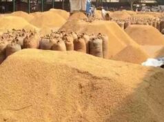 धान भंडारण में क्षय पर नियंत्रण: शासन की वैज्ञानिक व्यवस्था से सुरक्षित हुई खरीदी प्रणाली….