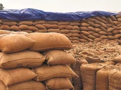 धान उपार्जन व्यवस्था में पारदर्शिता सुनिश्चित करने राज्यभर में सघन कार्रवाई….