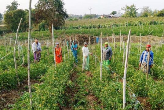 बिहान योजना से आत्मनिर्भर बनीं द्रौपती बांधे बनी लखपति दीदी: प्रतिमाह कमा रहीं 50 हजार रूपए….
