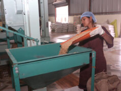 सशक्त मानसिकता से आत्मनिर्भरता की ओर- पोषण निर्माण में अहम भूमिका निभा रही हैं सूरजपुर की महिलाएं…..