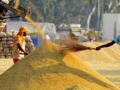 किसानों के सम्मान और पारदर्शी डिजिटल प्रणाली से सफल हुआ धान खरीदी का महाअभियान: खाद्य मंत्री बघेल….