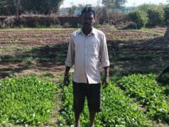 डबरी बनी स्थायी आजीविका का आधार : जल संरक्षण के साथ बढ़ी आय….