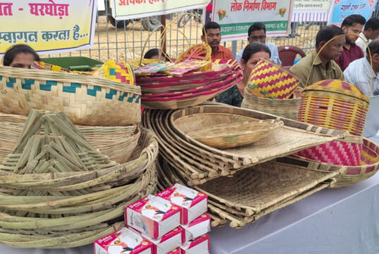 आत्मनिर्भरता की मिसाल बनीं ग्रामीण महिलाएं, गृह उद्योग और हस्तशिल्प से संवर रहा भविष्य…..