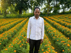 फूलों की खुशबू से महकी किस्मत ईश्वरचरण पैकरा का, परंपरागत खेती छोड़ फूलों की खेती अपनाई, कम लागत में मिला ज्यादा मुनाफा….