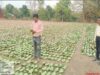 तेन्दूपत्ता संग्रहण की नई पहल से अबुझमाड़ के 22 गांवों को मिला लाभ, गांव के पास खुला फड़, 365 संग्राहकों को मिला सीधा आर्थिक लाभ….