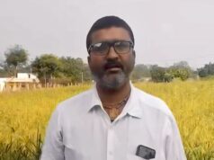 धान की जगह रागी की खेती से दिनेश को मिलेगा 10 हजार रुपये का प्रोत्साहन, कृषि विभाग से मिले बीज और तकनीकी मार्गदर्शन से एक एकड़ में तैयार हुई रागी की फसल……